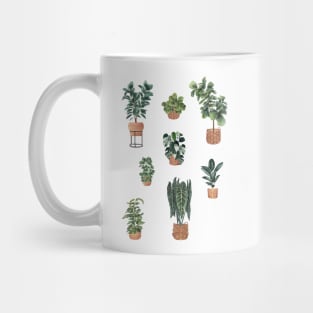 House plant in baskets Mug